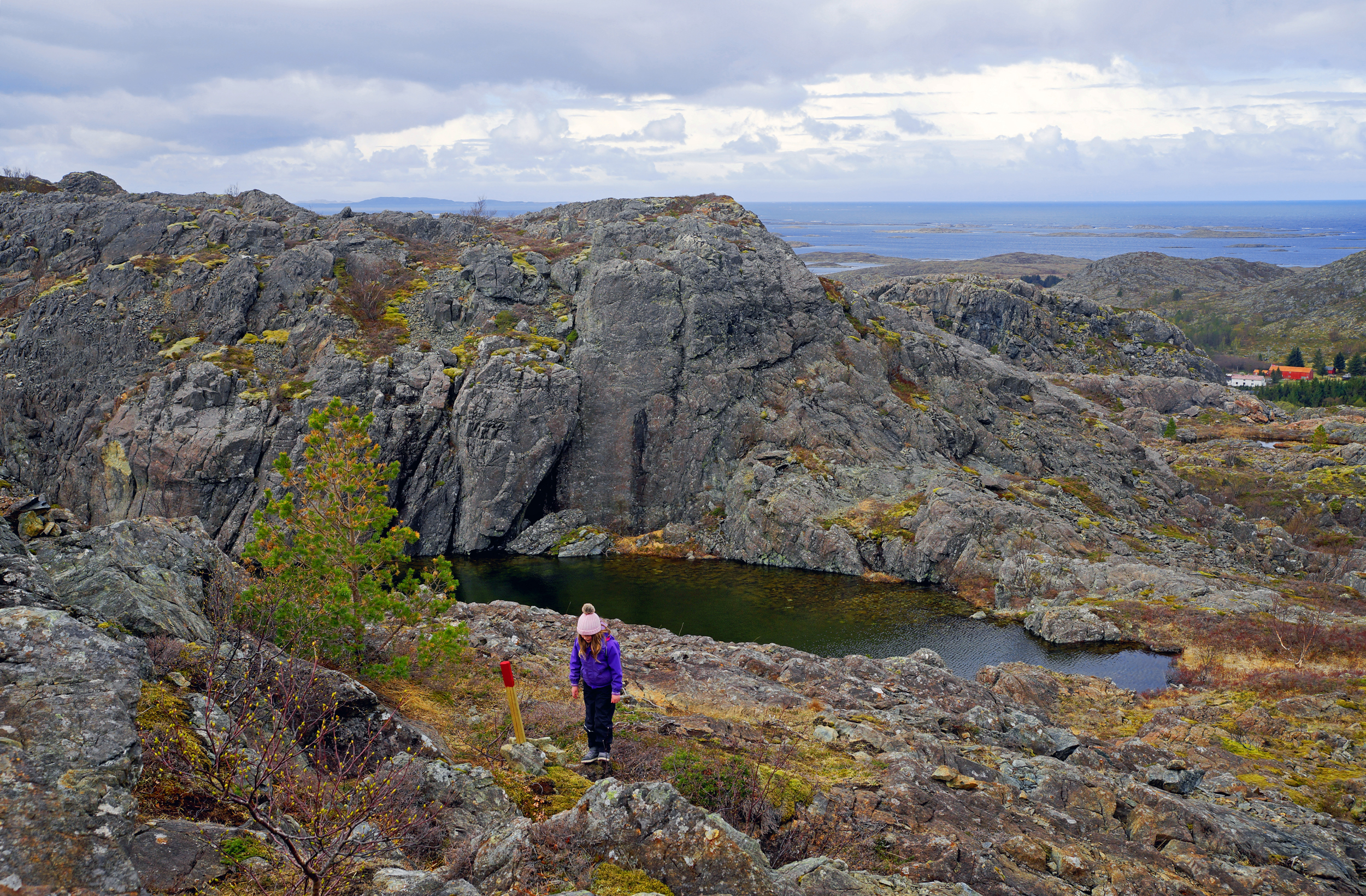 Lekamøya